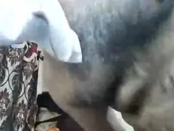 rockyforu72's Thumb Image